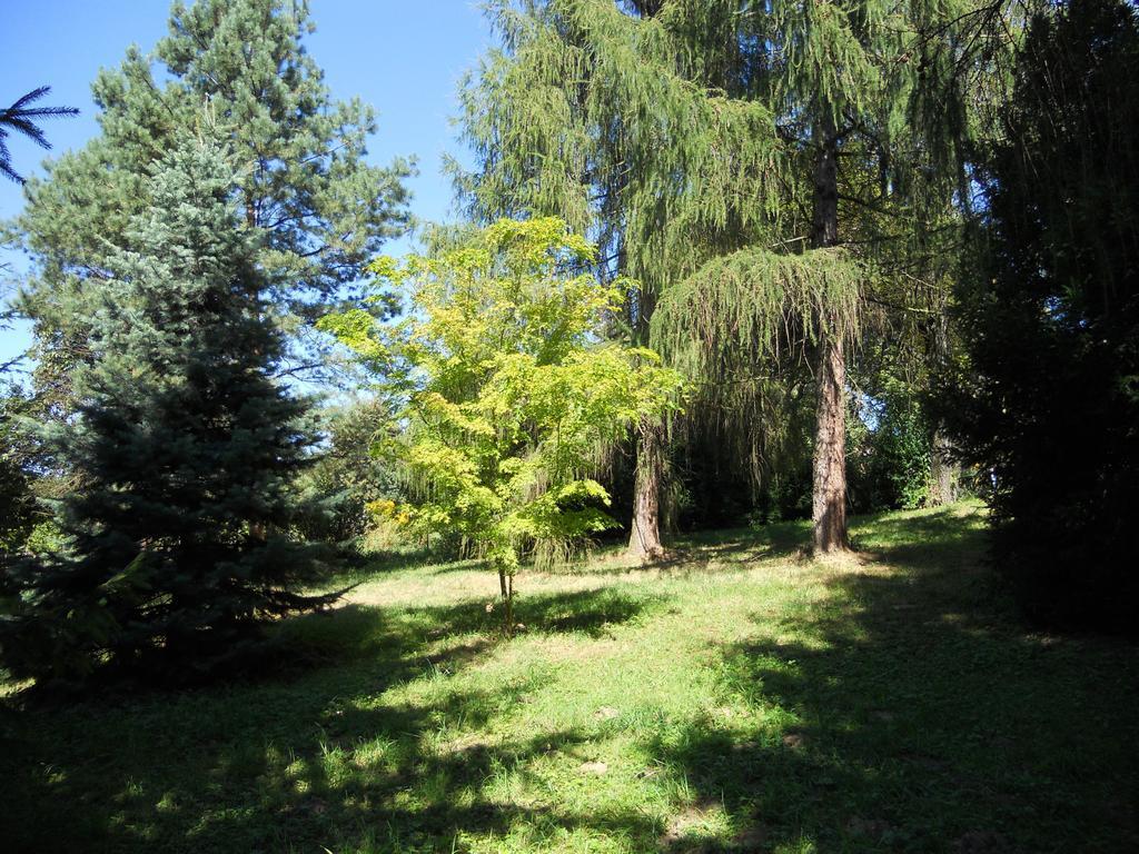 Dwor W Boleniu Villa Room photo